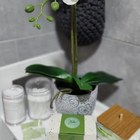 Bloom_apartman * Zlatibor